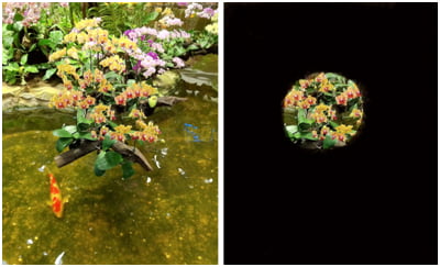 Tunnel vision with end stage glaucoma (right)