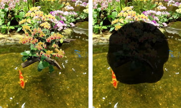 Figure 1: Normal vision (left) and vision with AMD (right)